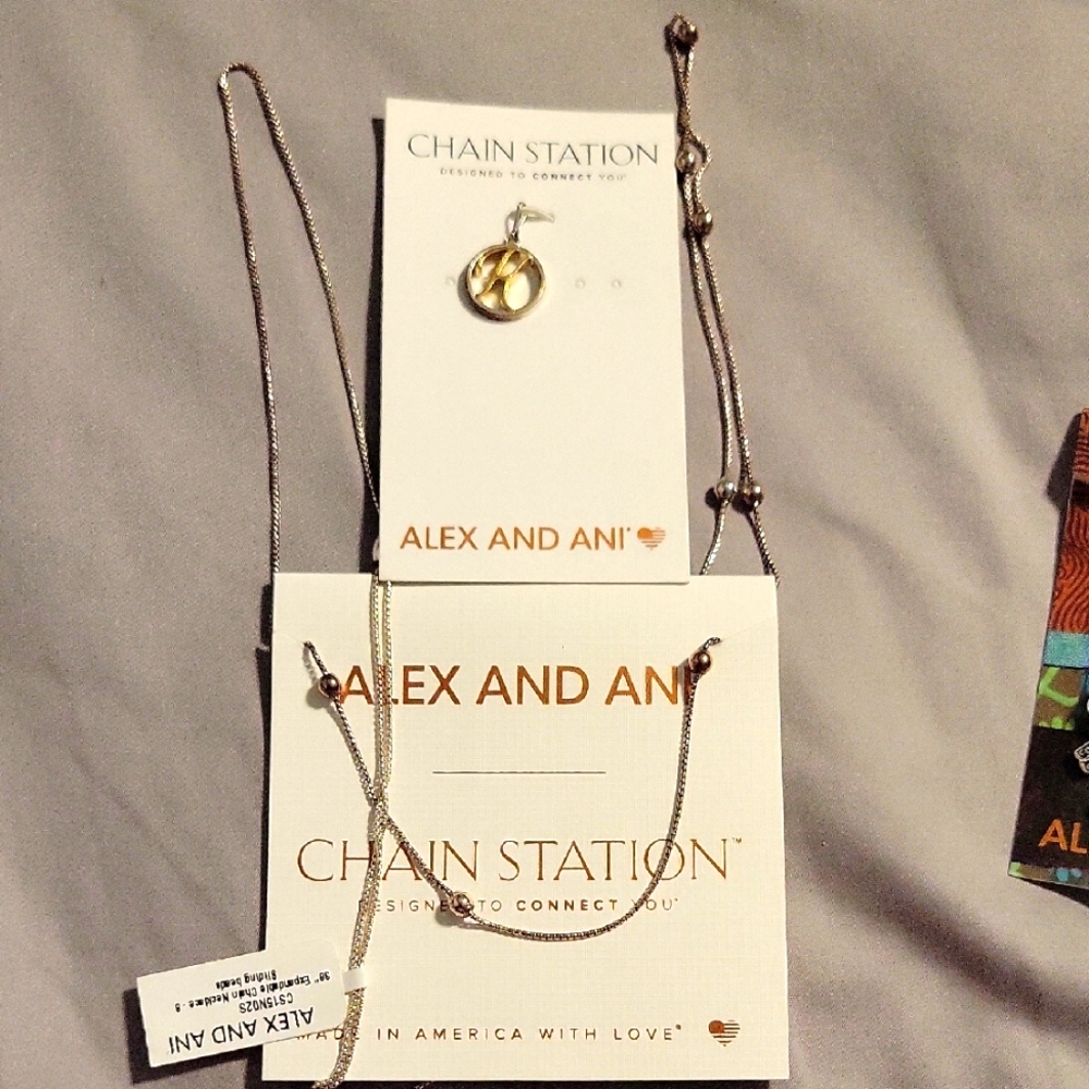 Alex and Ani Silver/Gold Charm Necklace With Initial K